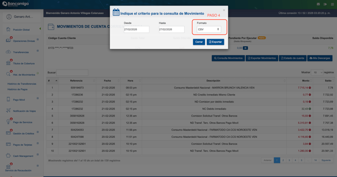 Paso 4 - Seleccionar formato CSV
